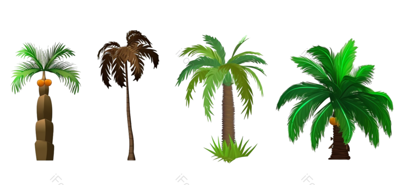 叶子图片,树木元素,盆栽PNG,植物免抠素材